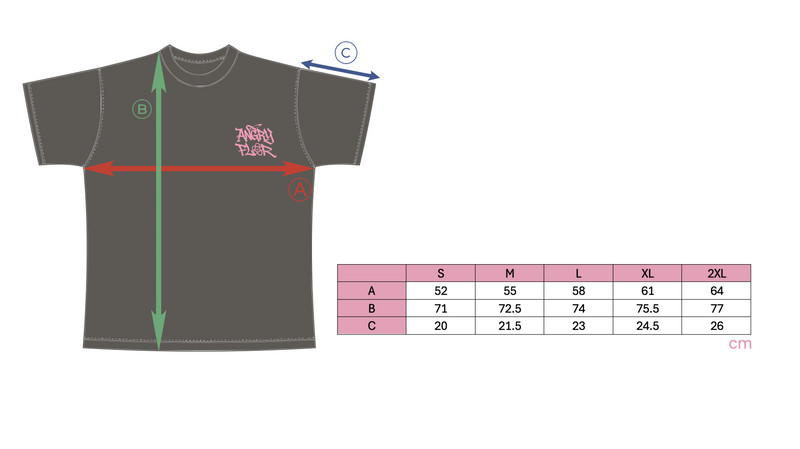 ANGRY FLOR TEE - DARK GREY size chart