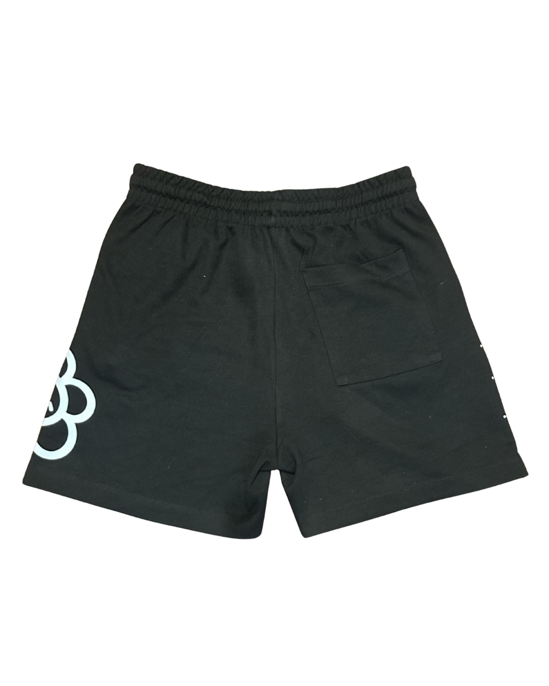 RHINESTONE SHORTS 1/1