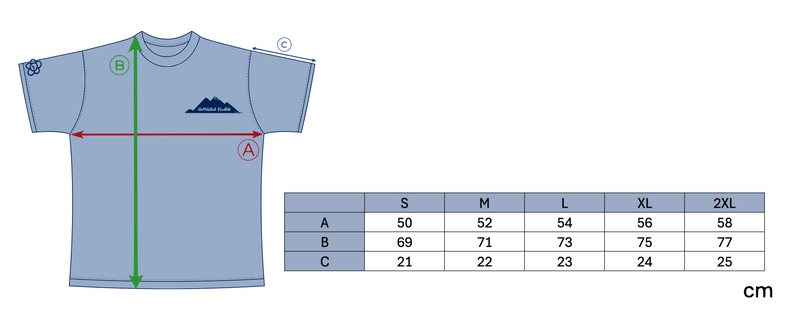 DESERT GUY TEE - PINK size chart
